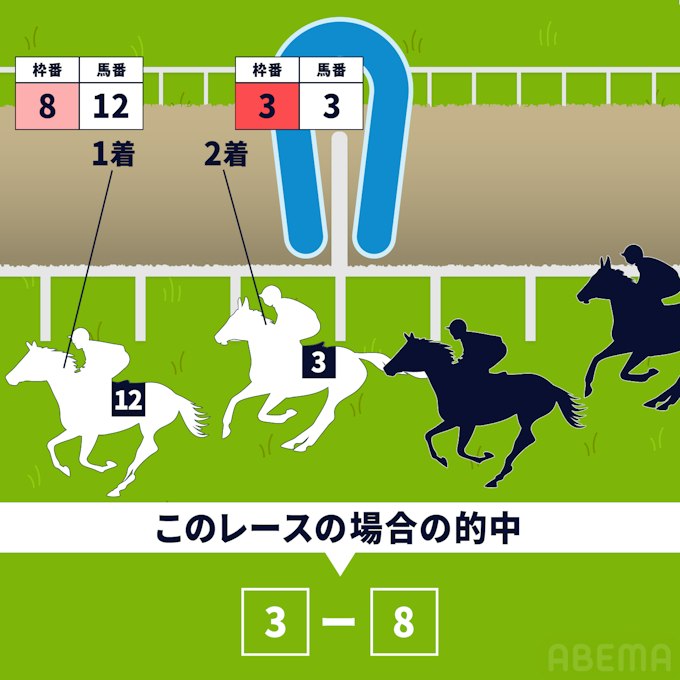 初心者向け馬券の種類(単勝・三連単など)や買い方について解説! 初心者向け馬券の種類(単勝・三連単など)や買い方について解説!